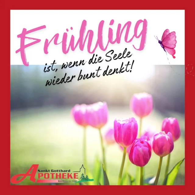 Das Team der St. Gotthard Apotheke wünscht euch einen schönen Frühlingsanfang 💐

 #stammapotheke #stgotthardapothekekirchberg #pta #kirchbergimwald #landkreisregen #apothekerin #apothekevorort #niederbayern #PKA #apotheke #frühling #frühlinganfang